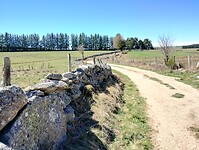 IMG_20260415_144907078_HDR