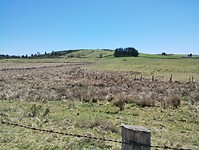 IMG_20260415_144858740