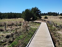 IMG_20260415_144051269