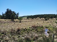 IMG_20260415_143941252