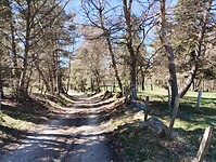 IMG_20260415_133527177
