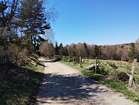 IMG_20260415_133249943