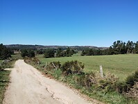 IMG_20260415_113533411