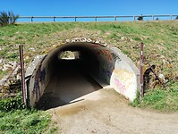 IMG_20260415_111548411