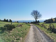 IMG_20260415_093101520