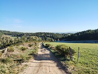 IMG_20260415_084737043