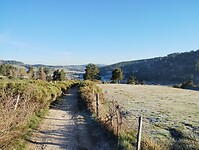 IMG_20260415_081916566
