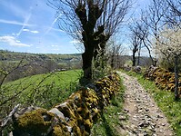 IMG_20260416_150440352_HDR