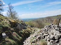 IMG_20260416_142845696