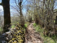 IMG_20260416_142500082_HDR