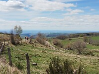 IMG_20260416_140931630