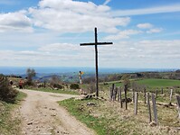 IMG_20260416_140833959