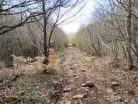 IMG_20260416_134945812