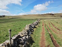 IMG_20260416_113716504