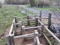 IMG_20260416_113154010