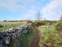 IMG_20260416_081748768