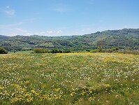 IMG_20260417_131442413