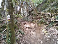 IMG_20260417_120215786