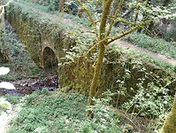 IMG_20260417_115244967