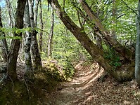IMG_20260417_113246537_HDR