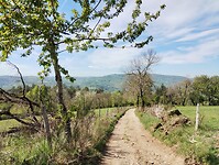 IMG_20260417_112549746
