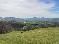 IMG_20260417_111720857