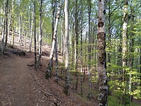 IMG_20260417_091754316