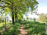 IMG_20260417_150445278