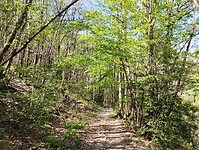 IMG_20260418_115558640