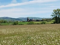 IMG_20260418_111124113