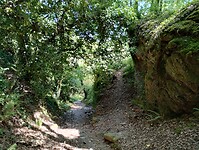IMG_20260419_152353173_HDR