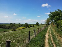 IMG_20260419_135453275