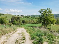 IMG_20260419_123056171