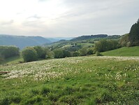 IMG_20260419_085857887