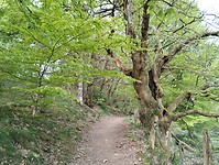IMG_20260419_083316178
