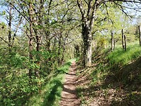 IMG_20260419_113553419