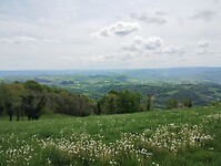 IMG_20260420_125248574