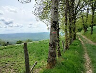 IMG_20260420_125157255_HDR