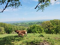 IMG_20260420_112025165