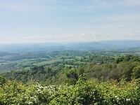 IMG_20260420_110445098