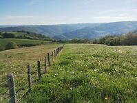 IMG_20260420_091941777