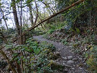 IMG_20260420_082235809_HDR