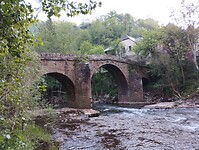 IMG_20260420_081428768