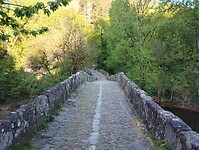 IMG_20260420_081241591