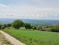 IMG_20260420_114625142
