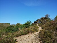 IMG_20260420_085403911