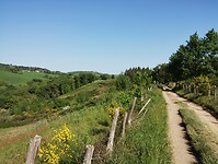 IMG_20260421_104828324