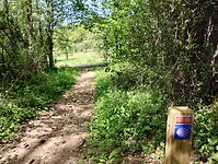IMG_20260421_130523234_HDR