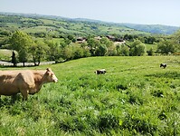 IMG_20260421_111212192