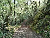IMG_20260421_090955849